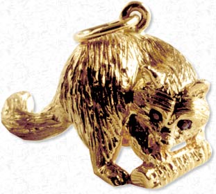Raccoon, Raccoon Charm,Adirondack Charms, New York Charms, Gold Charms, Silver Charms, Sterling Silver Charms, gold charms, Charm Bracelets, Bear on all fours Charm, Packbasket Charms, Bear on all fours, Snowshoe Charm,Raccoon, Bears, Raccoon