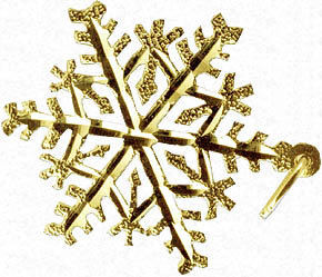 Diamond Cut Snowflakes Charms,Diamond Cut Snowflakes,Adirondack Charms, New York Charms, Gold Charms, Silver Charms, Sterling Silver Charms, gold charms, Charm Bracelets, Loon Charm, Packbasket Charms, Canoe, Snowshoe Charm,Raccoon, Bears, Diamond Cut Snowflakes Charms