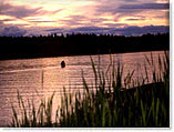 ADIRONDACK FISHING